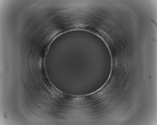 X0000097491161200802291425