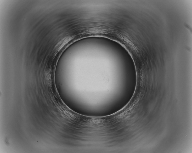 X0000097491162200802291424