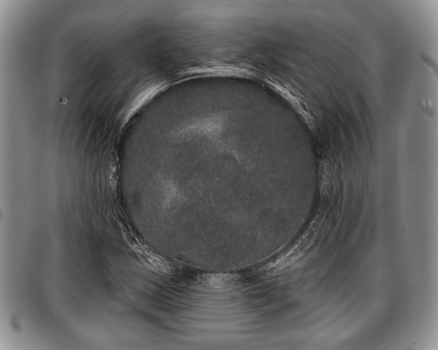 X0000097491163200802291424