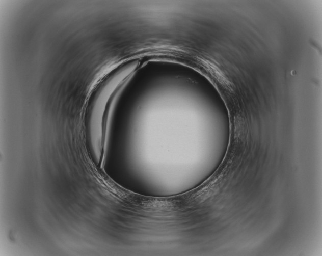 X0000097491164200802291424