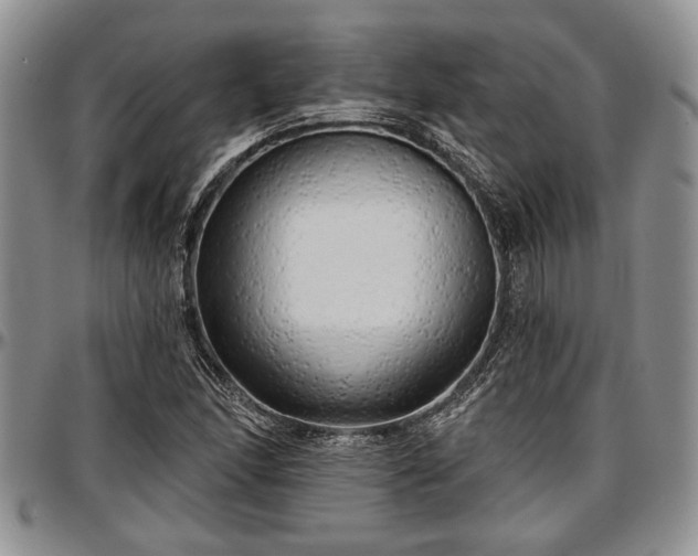 X0000097491166200802291424