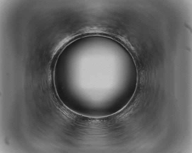 X0000097491167200802291424