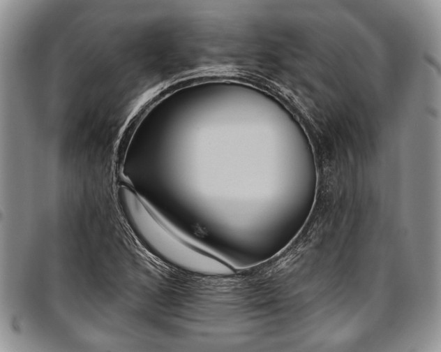 X0000097491168200802291424