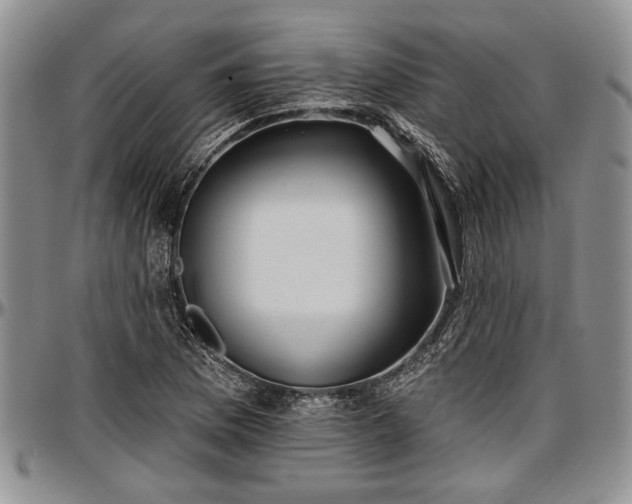 X0000097491169200802291424