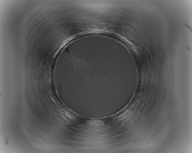 X0000097491170200802291424