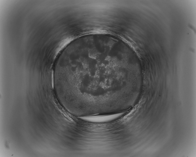 X0000097491171200802291424