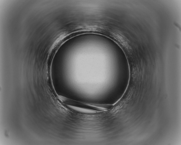 X0000097491172200802291424