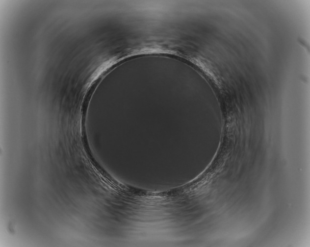 X0000097491173200802291424