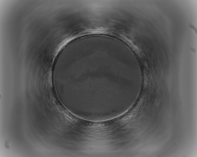 X0000097491174200802291424