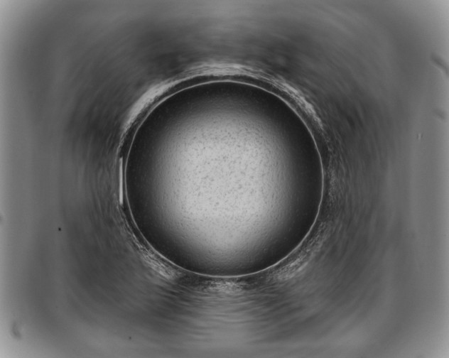 X0000097491175200802291424