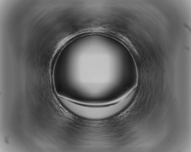 X0000097491176200802291424