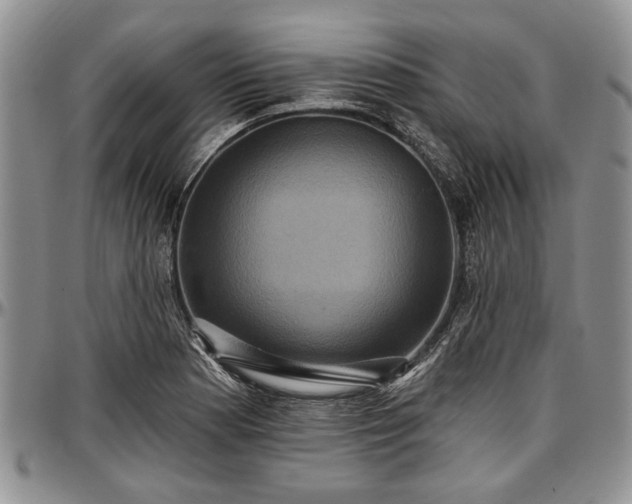 X0000097491177200802291424