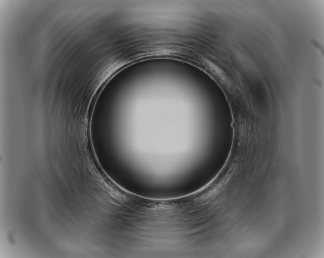 X0000097491178200802291424