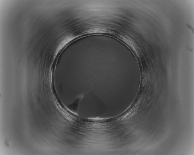 X0000097491179200802291424