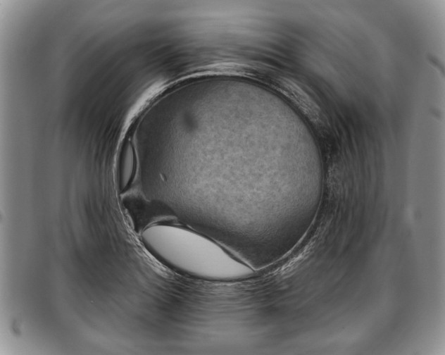 X0000097491180200802291424