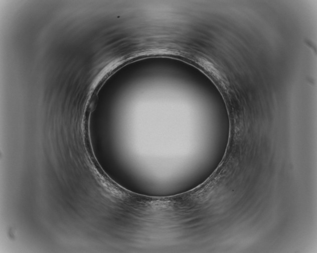 X0000097491181200802291424