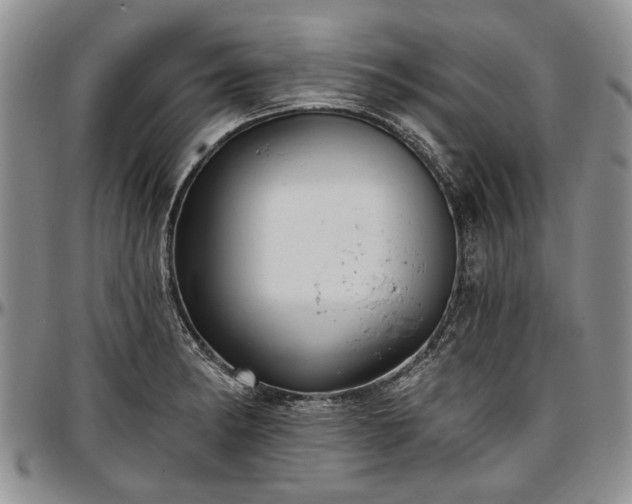 X0000097491182200802291424