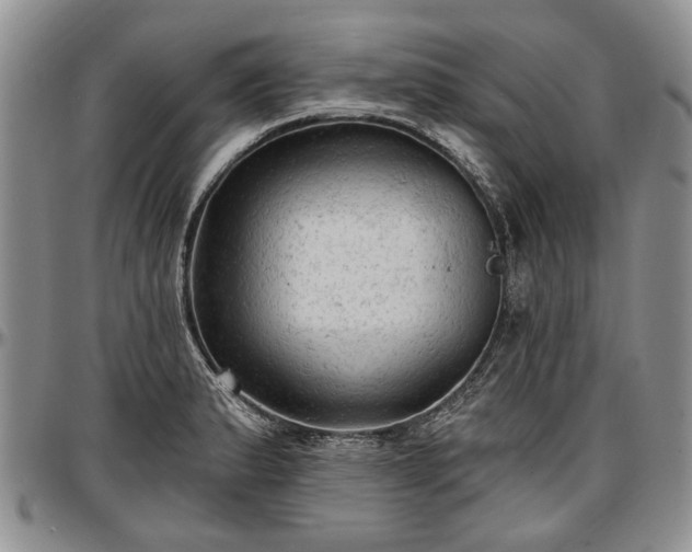 X0000097491183200802291424