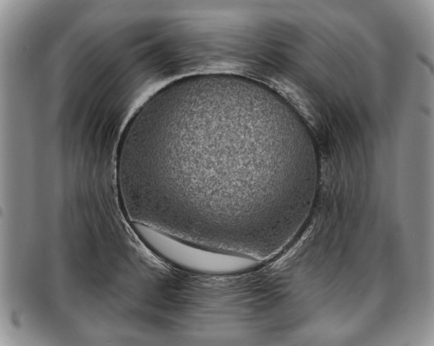 X0000097491184200802291424