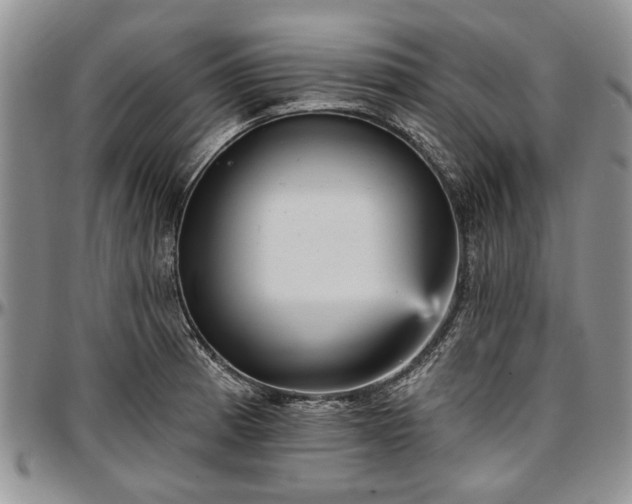 X0000097491185200802291424