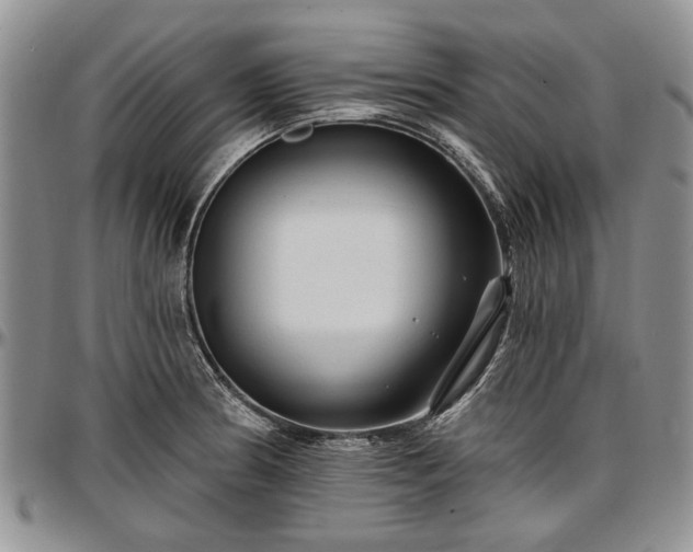 X0000097491186200802291424