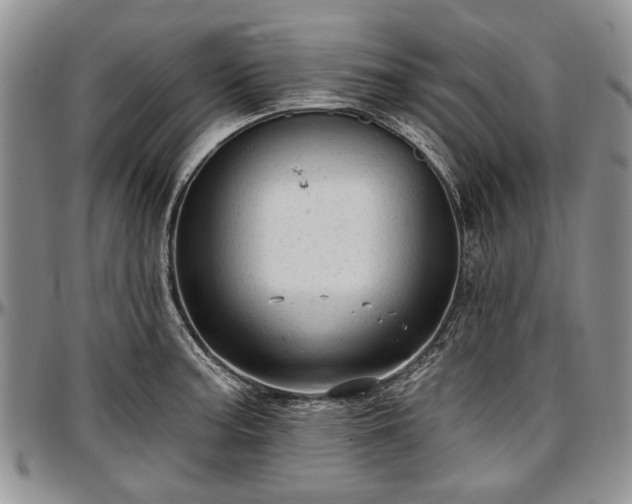 X0000097491187200802291424