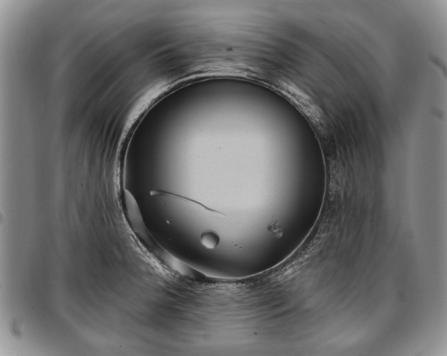 X0000097491188200802291424