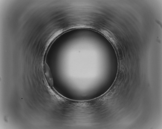 X0000097491189200802291424