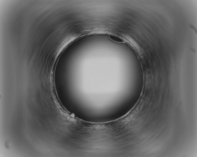 X0000097491190200802291424