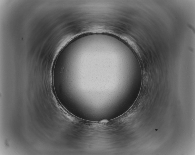 X0000097491191200802291424