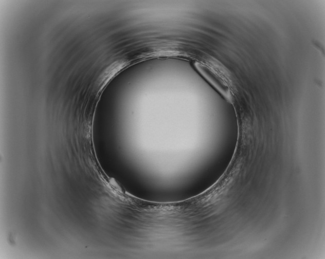 X0000097491193200802291424