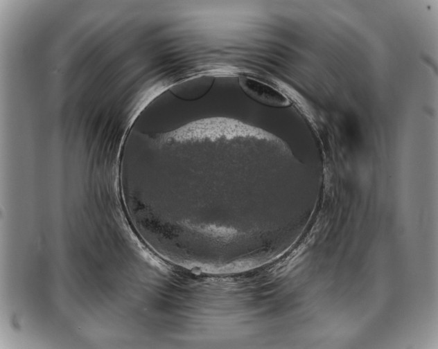 X0000097491194200802291424