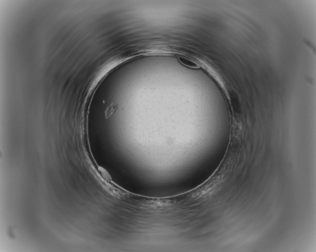 X0000097491195200802291424