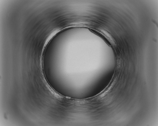 X0000097491196200802291424