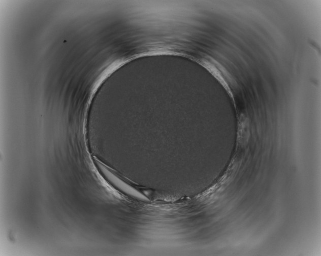 X0000097491197200802291424