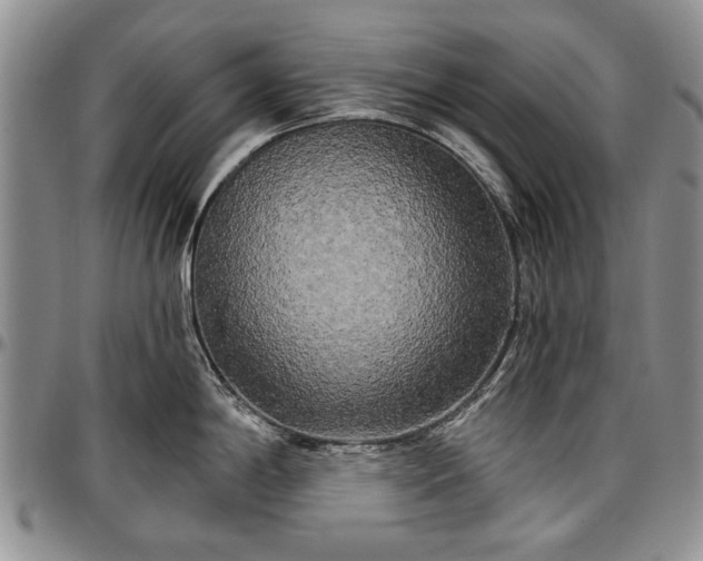 X0000097491198200802291424