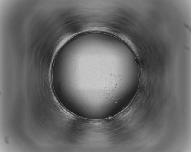 X0000097491199200802291424