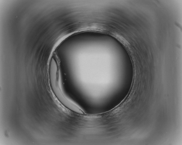 X0000097491200200802291424