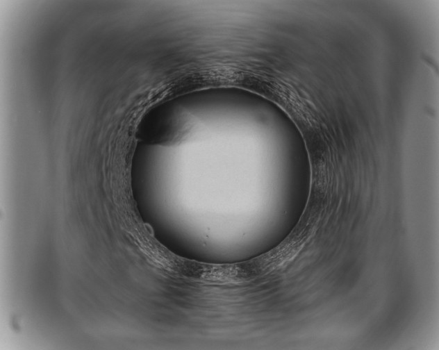 X0000097491201200802291423