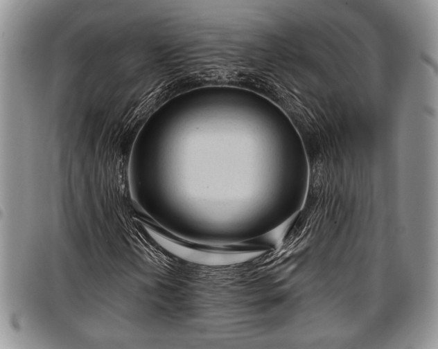 X0000097491202200802291423