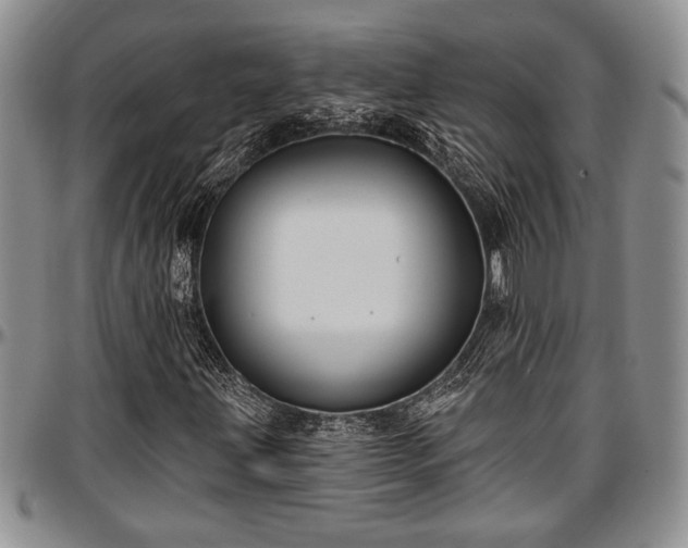 X0000097491203200802291423