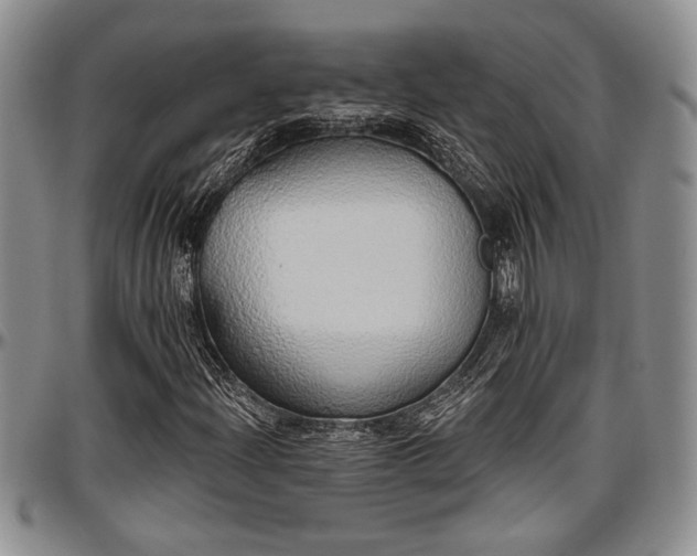 X0000097491204200802291423