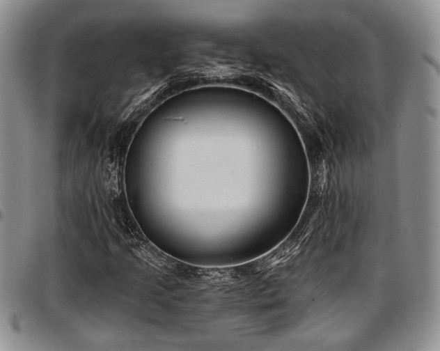 X0000097491205200802291423