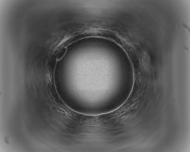 X0000097491206200802291423