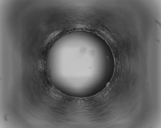 X0000097491207200802291423