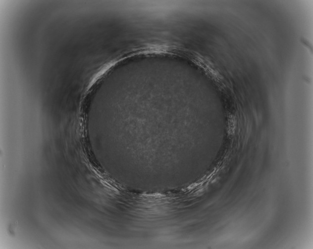 X0000097491208200802291423