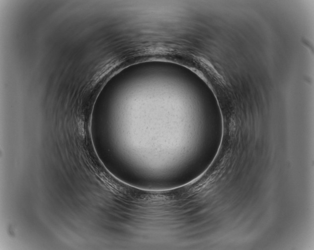 X0000097491209200802291423