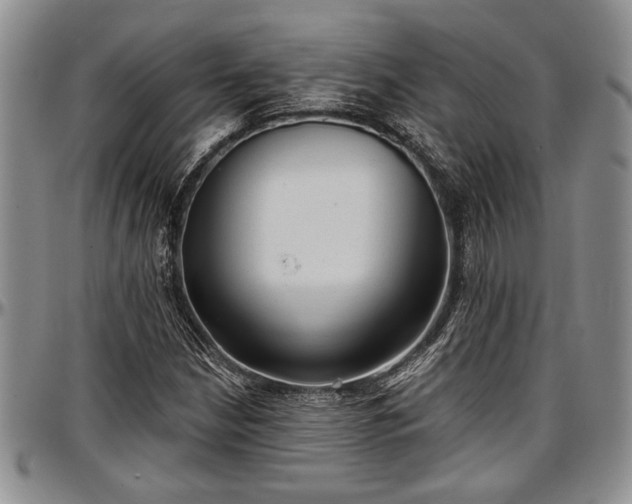 X0000097491210200802291423