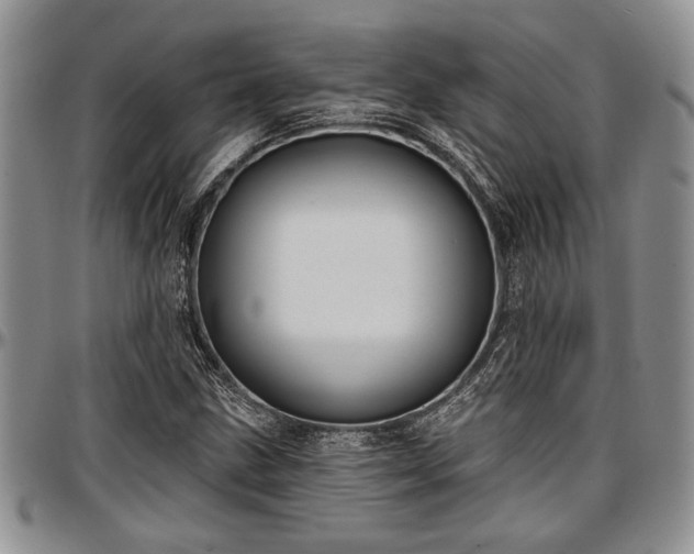 X0000097491211200802291423