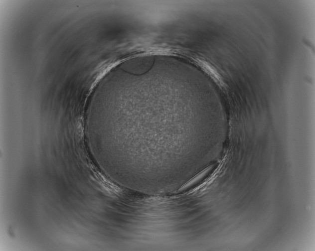 X0000097491212200802291423